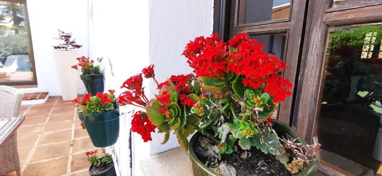 Roca Verde, Boutique Bed & Breakfast (Adults Only) Alhaurín de la Torre Εξωτερικό φωτογραφία