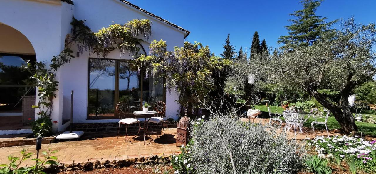 Roca Verde, Boutique Bed & Breakfast (Adults Only) Alhaurín de la Torre Εξωτερικό φωτογραφία