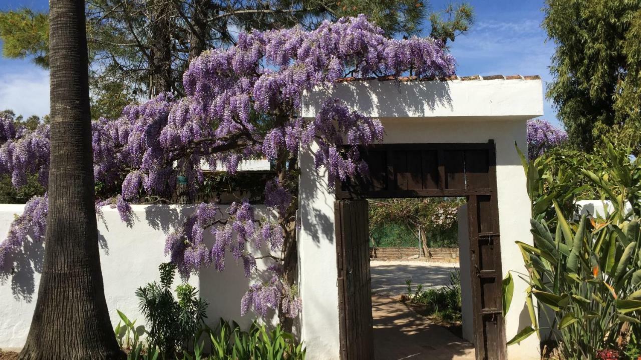 Roca Verde, Boutique Bed & Breakfast (Adults Only) Alhaurín de la Torre Εξωτερικό φωτογραφία