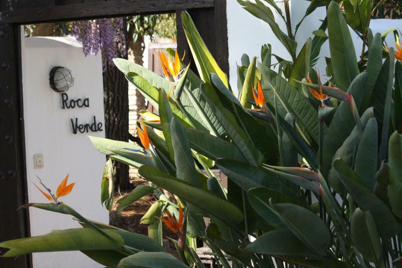 Roca Verde, Boutique Bed & Breakfast (Adults Only) Alhaurín de la Torre Εξωτερικό φωτογραφία