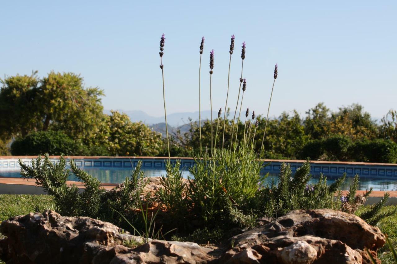 Roca Verde, Boutique Bed & Breakfast (Adults Only) Alhaurín de la Torre Εξωτερικό φωτογραφία